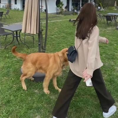 茱莉娅的眼睛